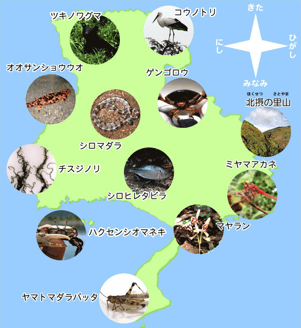 絶滅の危機にひんしている動植物の兵庫県地図