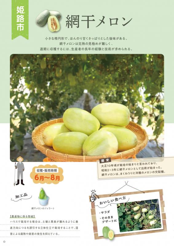 網干メロンチラシ