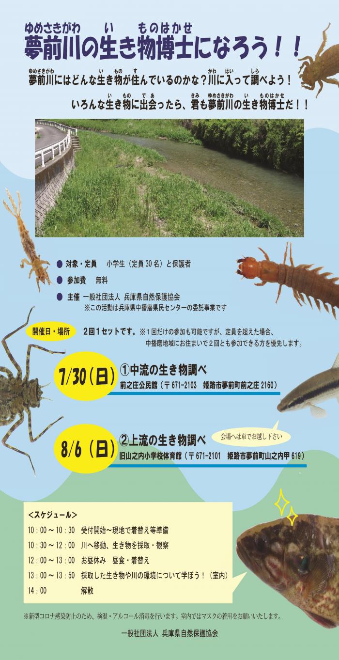 R5夢前川観察会