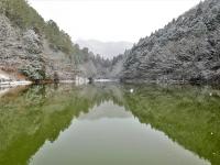 通宝寺池（ゆめさきの森公園）