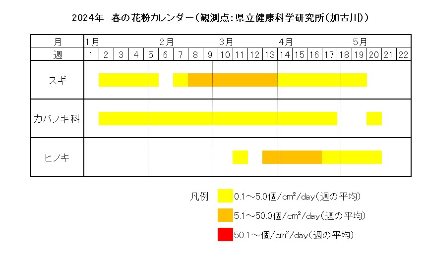2024年　春の花粉カレンダー（観測点：県立健康科学研究所（加古川））