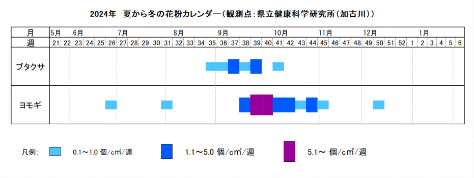 2024年 夏から冬の花粉カレンダー（観測点：県立健康科学研究所（加古川））