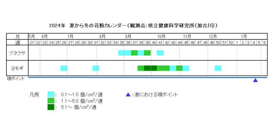 2024夏カレンダー