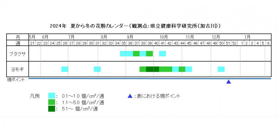 2024夏から冬カレンダー