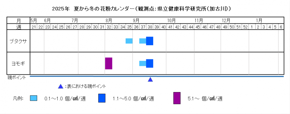 2025夏から冬カレンダー