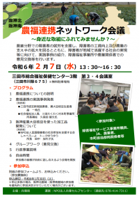 ネットワーク会議in阪神チラシ