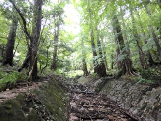 治山遺構