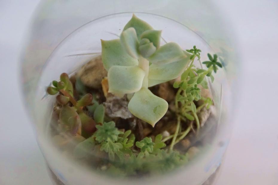 完成図