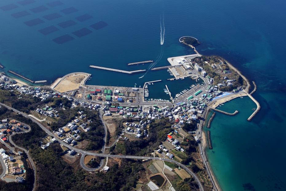 丸山漁港航空写真
