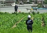 ドローン防除