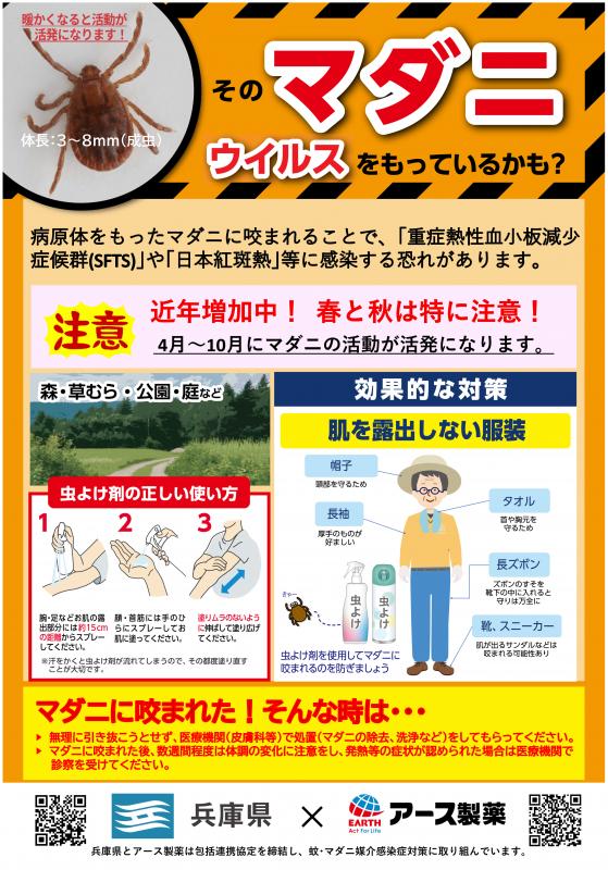 マダニチラシ